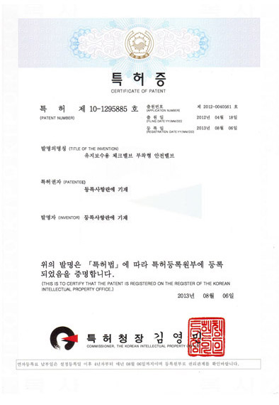 유지보수용 체크밸브 부착형 안전밸브